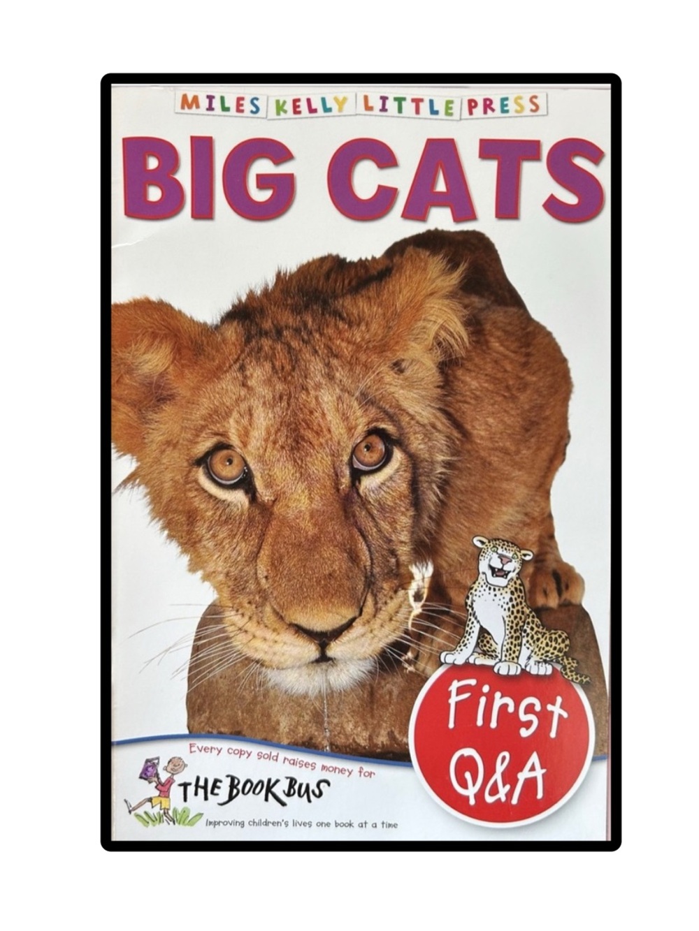 BUNDLE & SAVE🎉 Miles Kelly Big Cats First Q&A Book